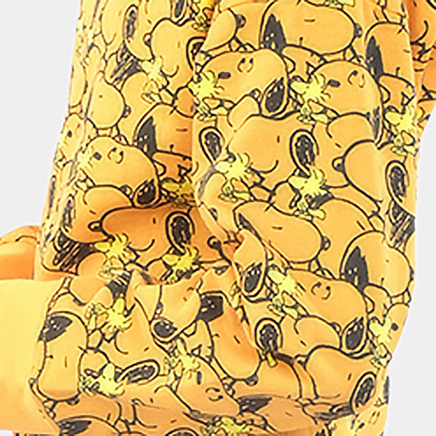 Boys Fleece 2 Piece Suit Character -R.Yellow