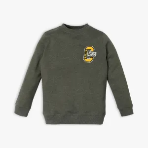 Boy's Regular Fit Solid Sweat Tee