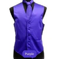 Purple Mens Solid Vest